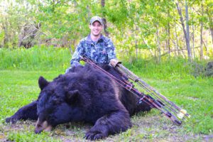 black bear large
